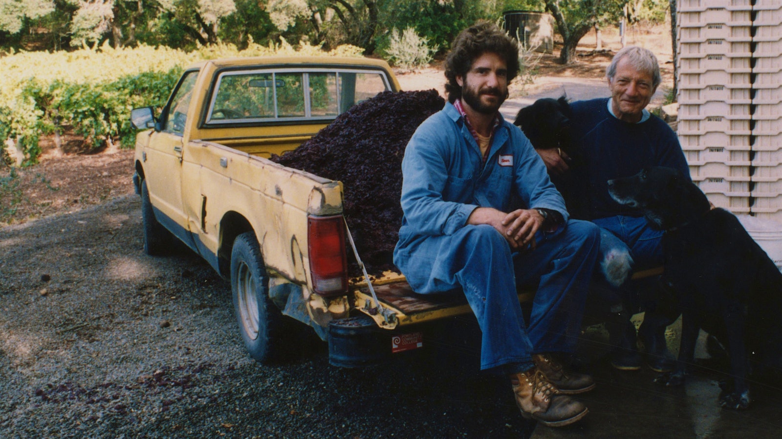 Father and son vintners Frank and Tom Farella in 1991